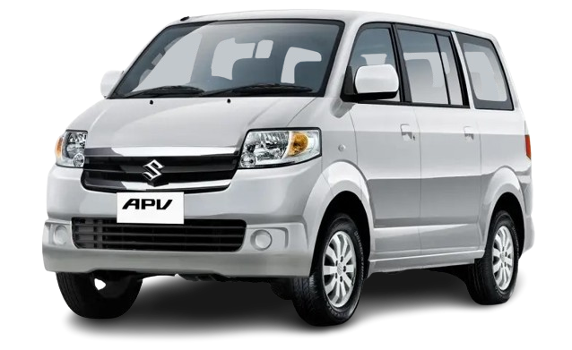 SILKY SILVER METALLIC